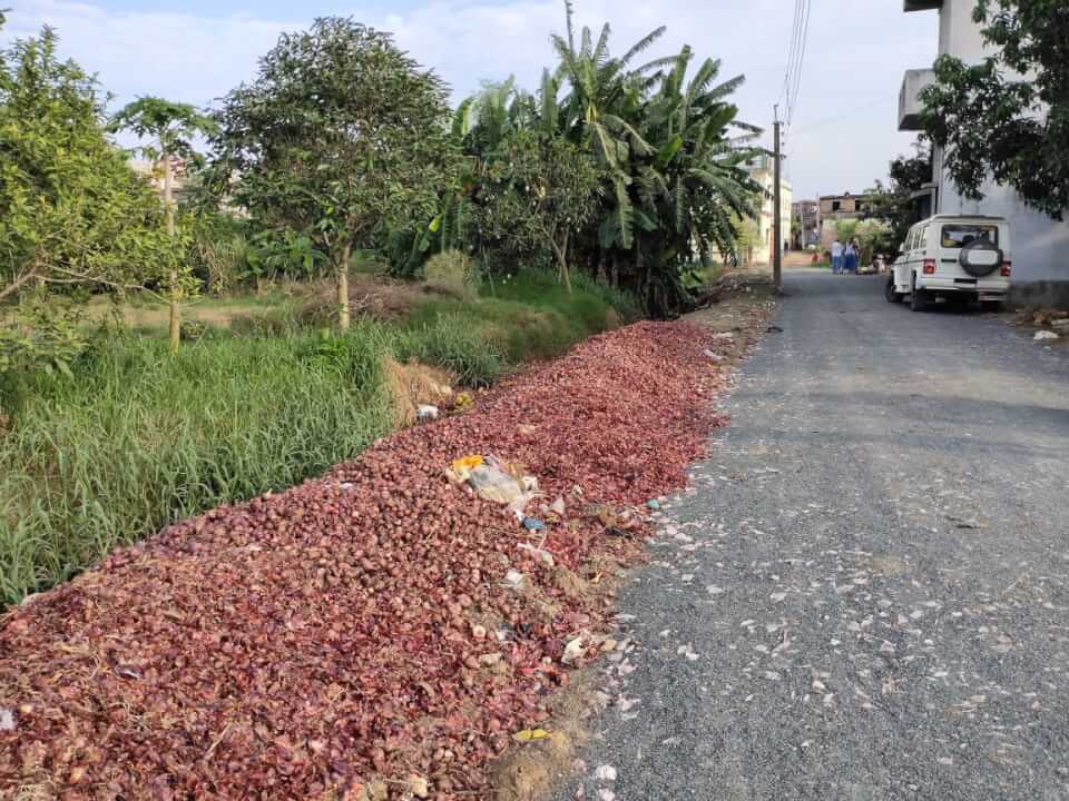 Onion thrown on road in Harnaut